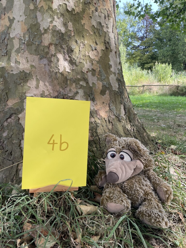 4b: Bärklasse