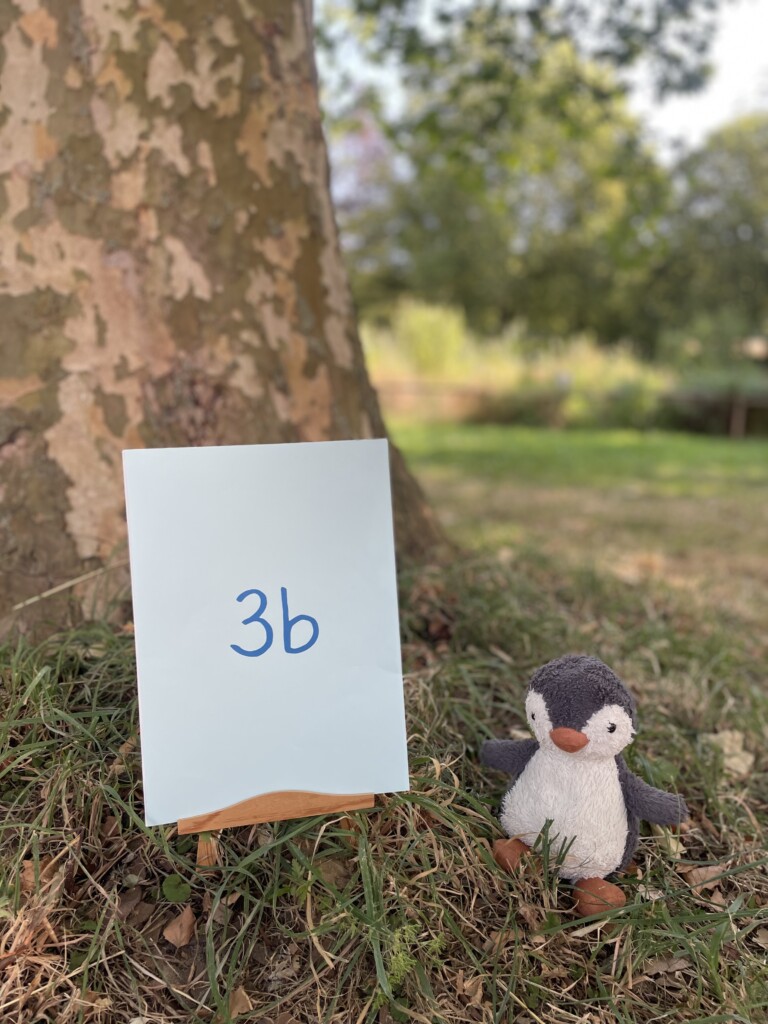 3b: Pinguinklasse