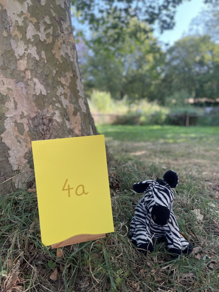 4a: Zebraklasse