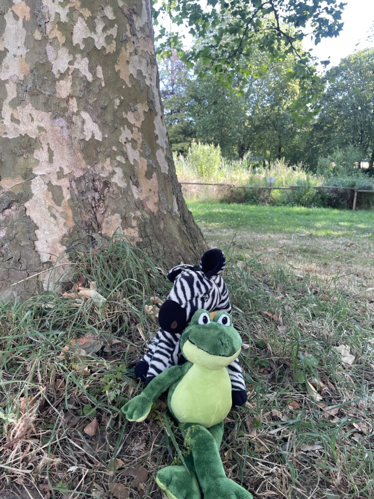 1a / 4a: Froschklasse / Zebraklasse (Patenklasse)